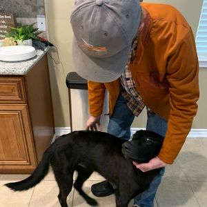 Meet your Posher, Dylan